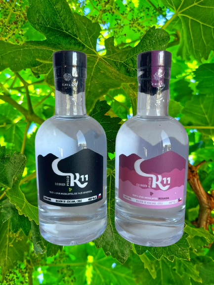 PACK PISCOS PEQUEÑOS